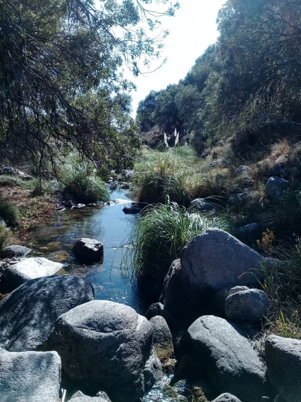 Arroyo y naturaleza en el entorno serrano